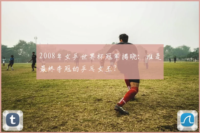 2008年女乒世界杯冠军揭晓：谁是最终夺冠的乒乓女王？