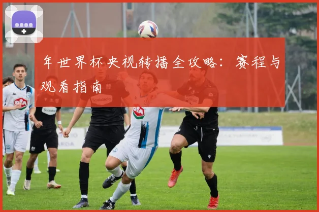 年世界杯央视转播全攻略:赛程与观看指南