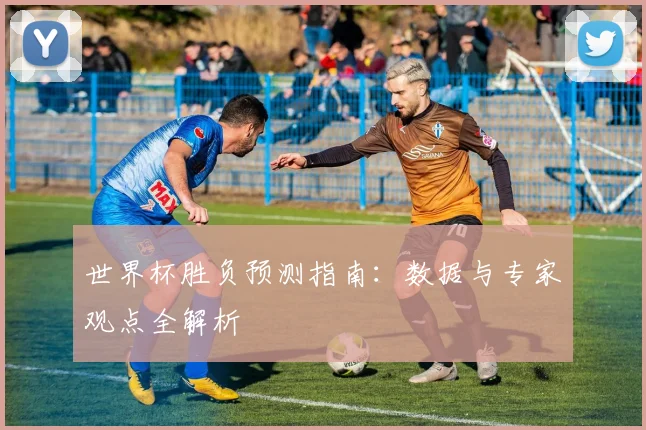 世界杯胜负预测指南:数据与专家观点全解析