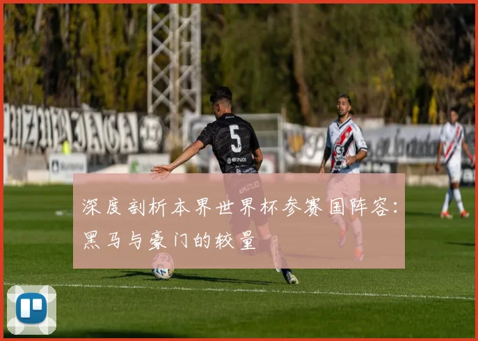 深度剖析本界世界杯参赛国阵容：黑马与豪门的较量